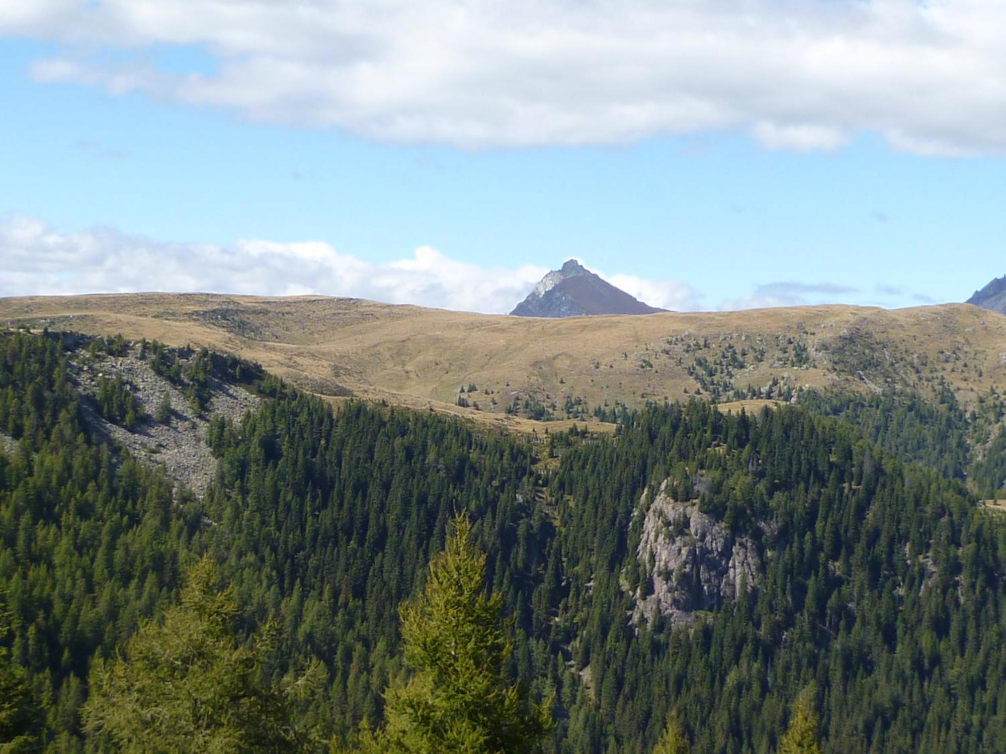 Отель Reiterhof Edelweiss Сан-Дженезио-Атезино Экстерьер фото